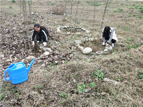 1521626991207342.jpg IMG20180316135516.jpg