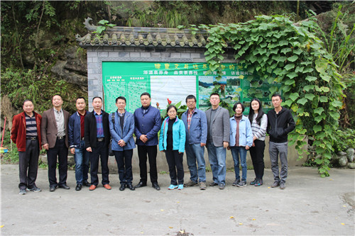 1509798537753001.jpg IMG_2912.JPG