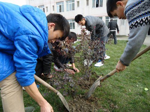 1441609570751031.jpg 20120314.JPG