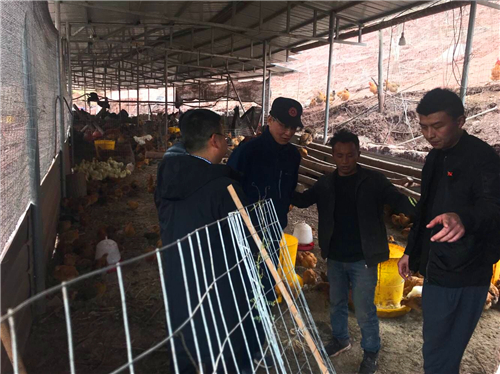 1553069399175394.jpg QQ图片20190320160157.jpg