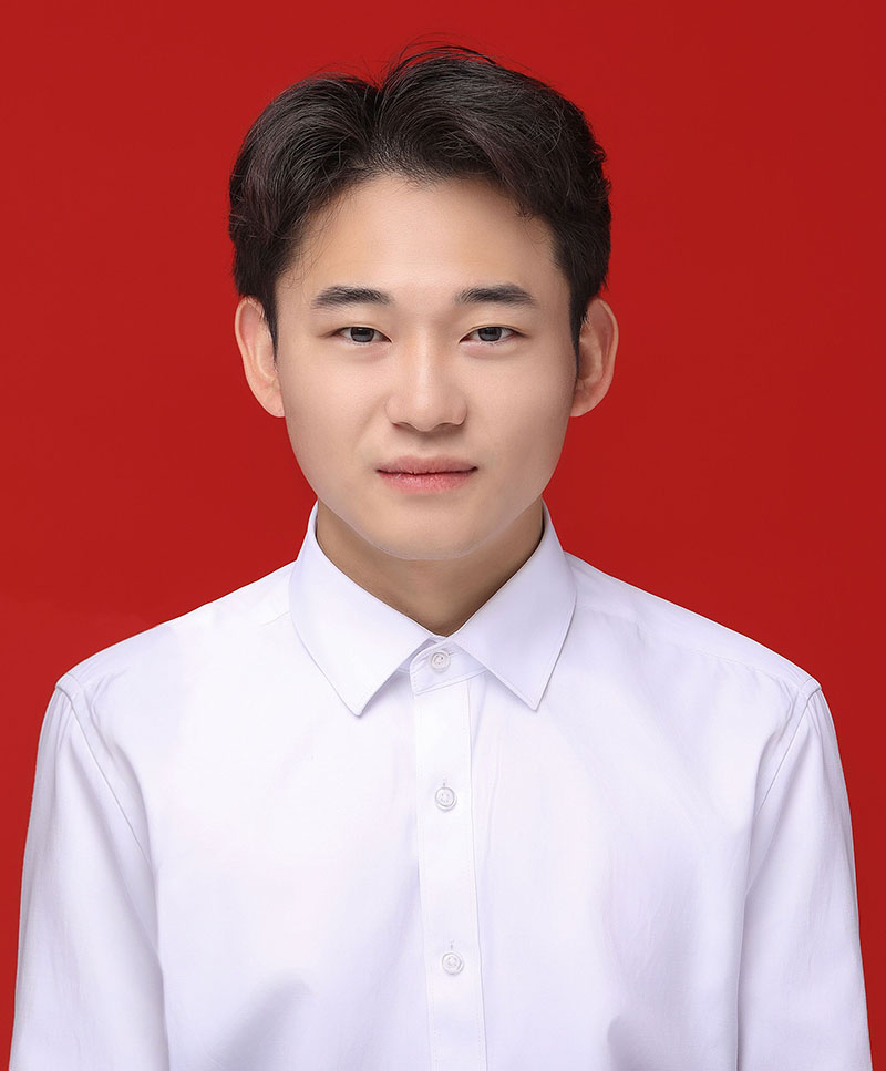 石中龙